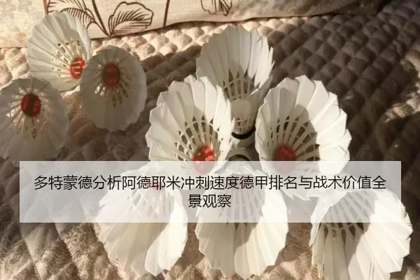 多特蒙德分析阿德耶米冲刺速度德甲排名与战术价值全景观察